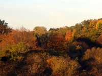 13237RoCrLeSh - Autumn colours in Rouge Valley Conservation Area.JPG